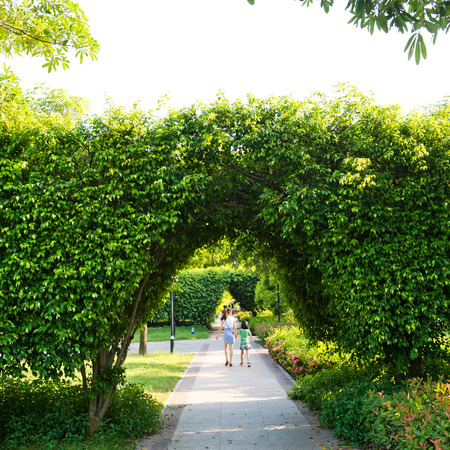 Green archway in the park at summer.の写真素材
