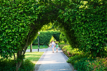 Green archway in the park at summer.の写真素材