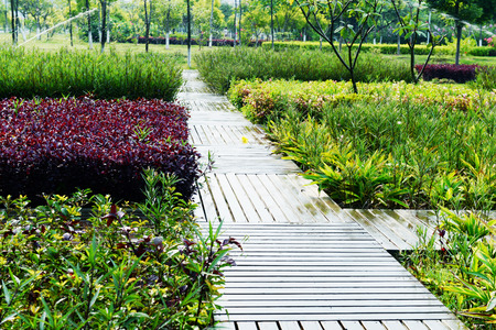 wooden pathway in a garden during day time.の写真素材