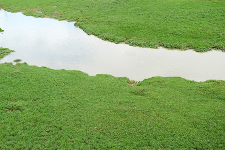 river with green meadow on the bank.の写真素材