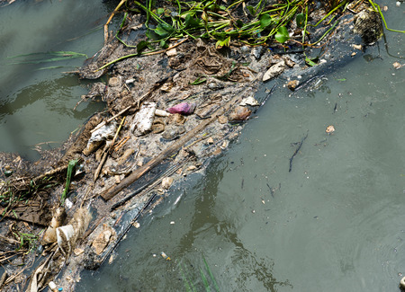 Water pollution in river with trash.の写真素材