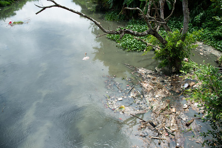 Water pollution in river with trash.の写真素材