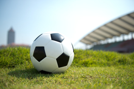 Soccer football on the green grass.の写真素材