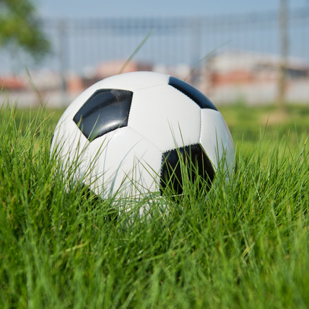 Soccer football on the green grass.の写真素材