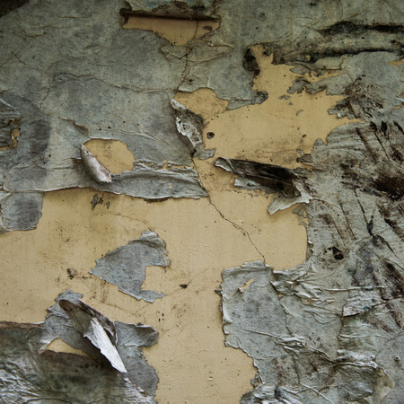old torn posters on grunge wallの写真素材