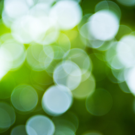 natural green background with bokeh circles.の写真素材