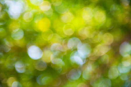 natural green background with bokeh circles.の写真素材