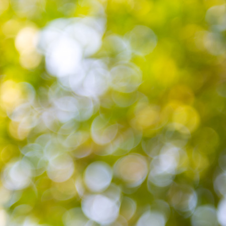 natural green background with bokeh circles.の写真素材
