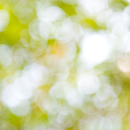 natural green background with bokeh circles.の写真素材