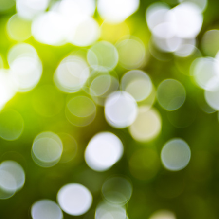 natural green background with bokeh circles.の写真素材