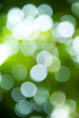 natural green background with bokeh circles.の写真素材