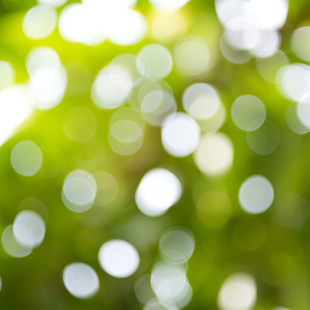 natural green background with bokeh circles.の写真素材