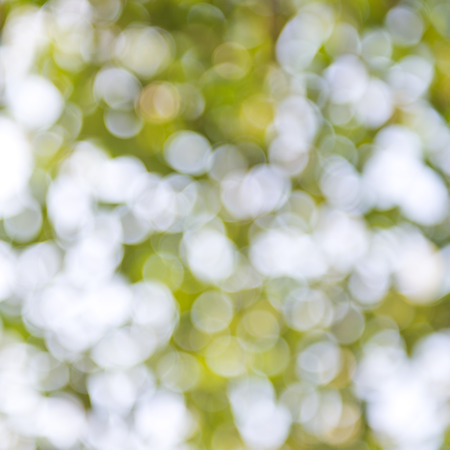 natural green background with bokeh circles.の写真素材