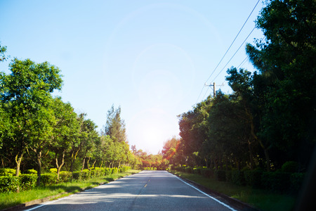 asphalt road through the green field.の写真素材