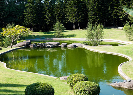 Quiet spring park with lake.の写真素材