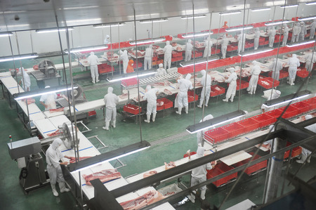 group of workers working in pork industry plant.のeditorial素材