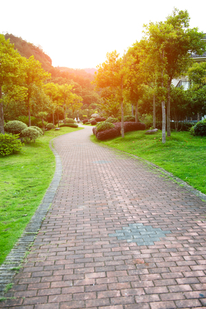 The path in the park.の写真素材