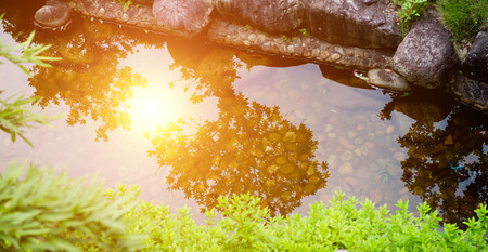 garden with stones, water and bushesの写真素材
