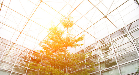 Office building and green tree, business conceptのeditorial素材