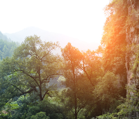Green mountains with mist in China.の写真素材