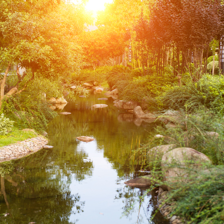 garden with stones, water and bushesの写真素材