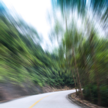 Countryside road with trees on both sides.