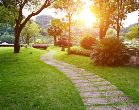 The path in the park.の写真素材