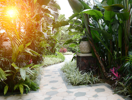 Stone pathway into garden during day timeの写真素材