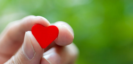 Hand holding a red heartの写真素材