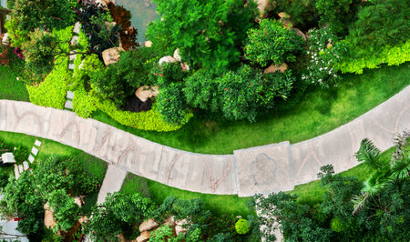 Top view of curve brick path in the gardenの写真素材