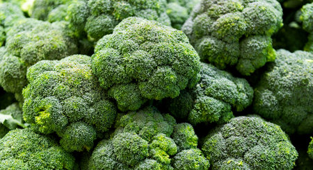 Full frame fresh broccoli sprouts for backgroundの写真素材