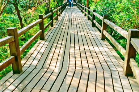 Wooden walkwayの写真素材