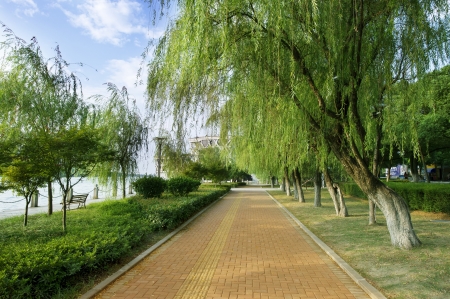 Stone Pathwayの写真素材