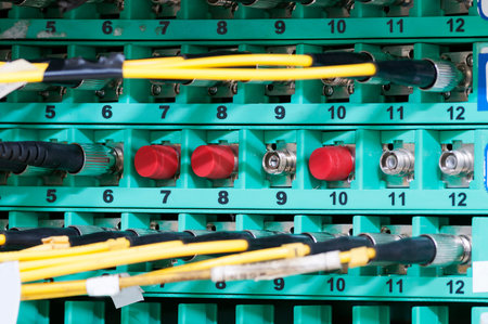 Network cable