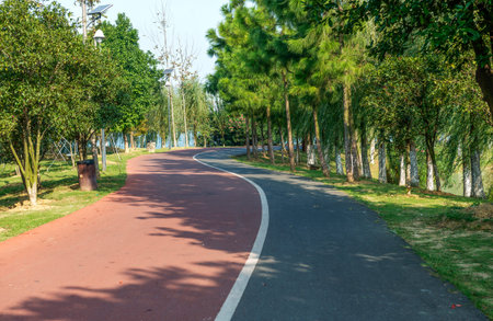 park walkway