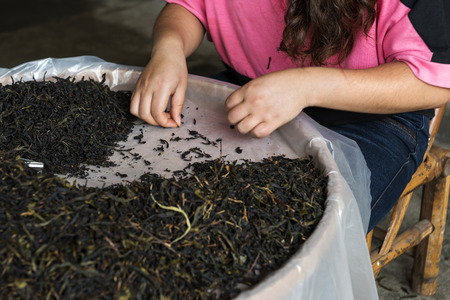 selection of quality tea in the tea marketの写真素材