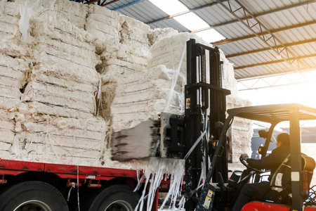 Paper and pulp mill