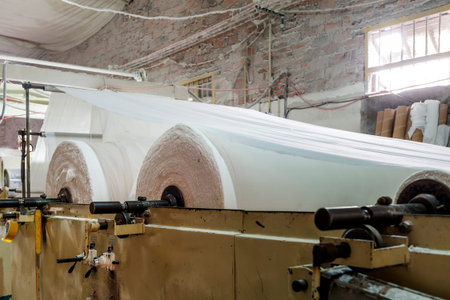 Paper and pulp mill