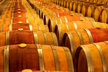 Wine barrels stacked in the cellar of the winery.