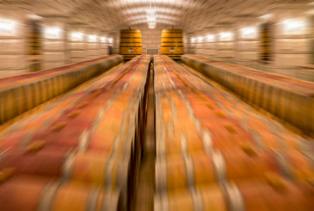 Wine barrels stacked in the cellar of the winery.