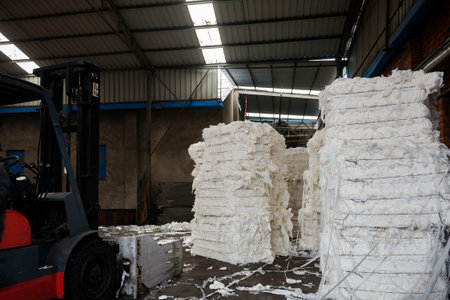 Paper and pulp mill