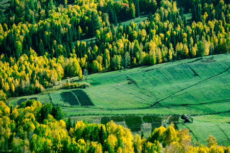 Hemu village in Kanas Nature Reserve, Xinjiang, Chinaの写真素材