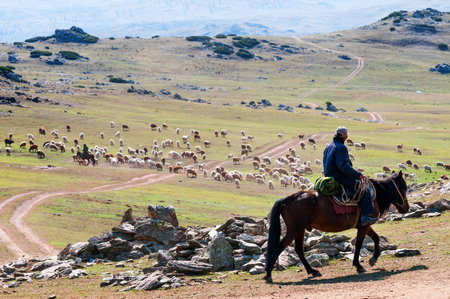 goat herdsmen on horseback