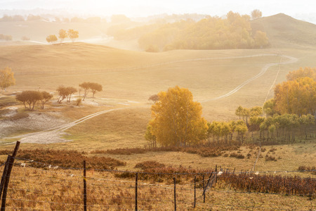 Autumn grazing scenery on Bashang Grassland in Wulanbutongの写真素材