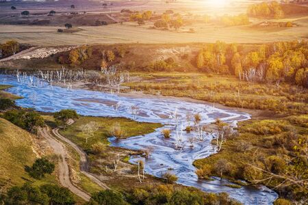 Autumn grazing scenery on Bashang Grassland in Wulanbutongの写真素材