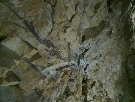 Stalactites and stalagmites in the cave.の写真素材