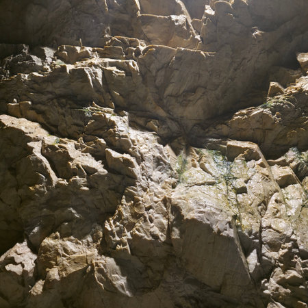 Rock texture. Close-up of a rocky surface. Natural background.の写真素材