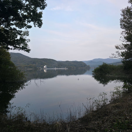 View of the lake and the bridge in the middle of the forestの写真素材