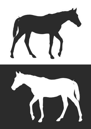 realistic silhouette young horse, vector illustration, black and whiteのイラスト素材