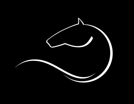 Horse's head is drawn with white line on black background. Linear logo. Vector illustrationのイラスト素材
